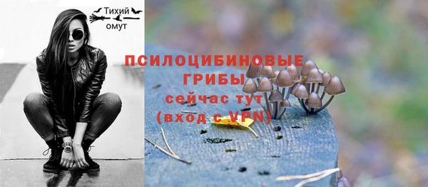 стаф Армянск