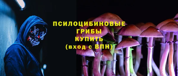 каннабис Аркадак