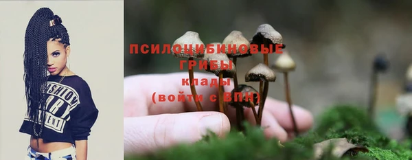 метадон Арсеньев