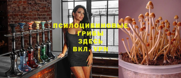 метадон Арсеньев