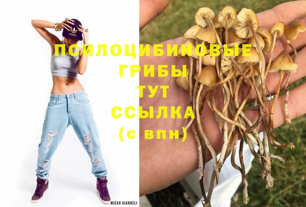 амф Протвино
