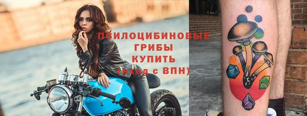стаф Армянск